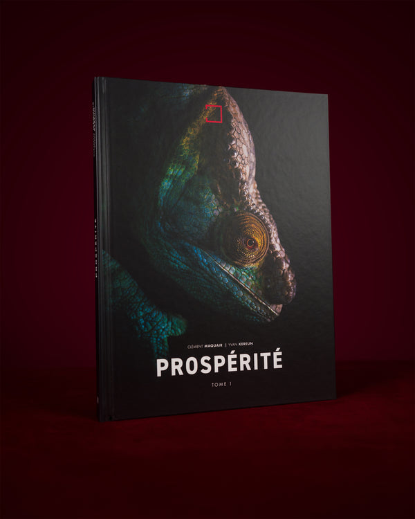 Prospérité Tome I