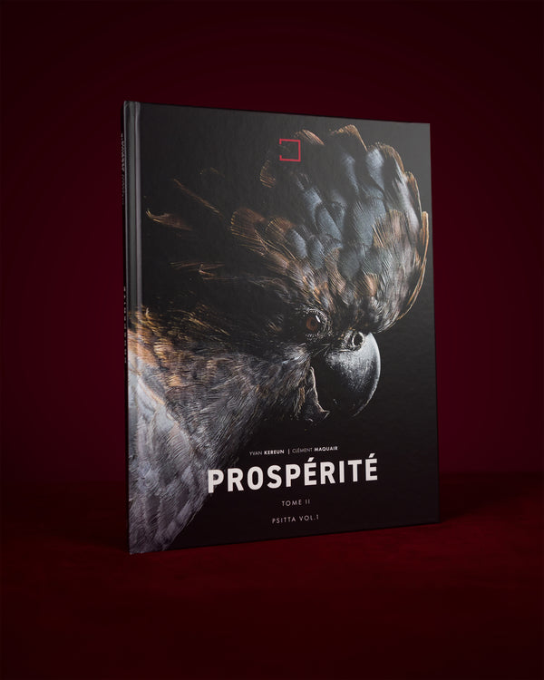 Prospérité Tome II