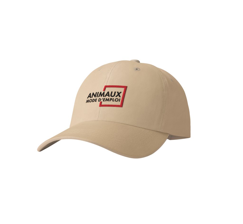 Casquette AMDE
