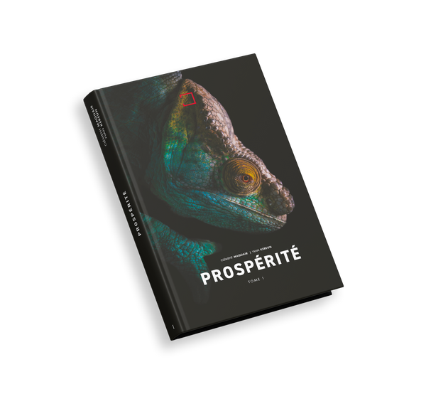 Prospérité Tome I