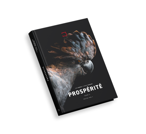 Prospérité Tome II